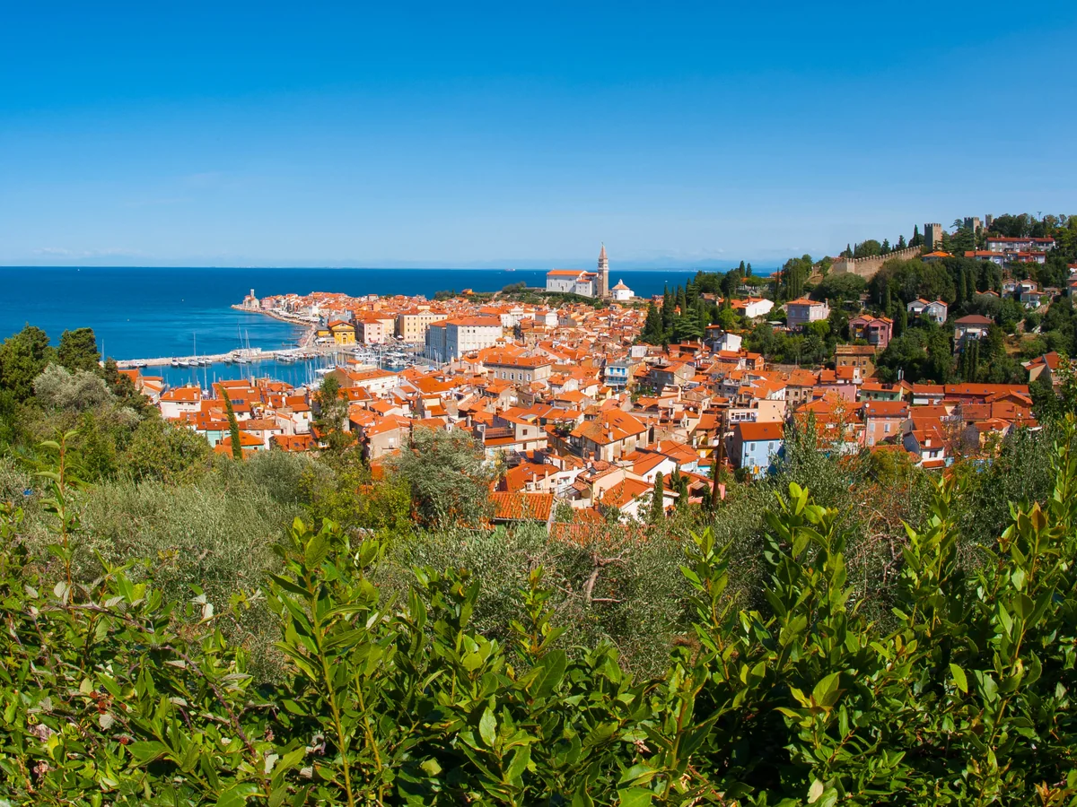 投稿写真：ピラン