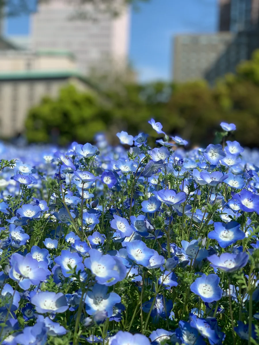 Yamashikiさんの投稿写真