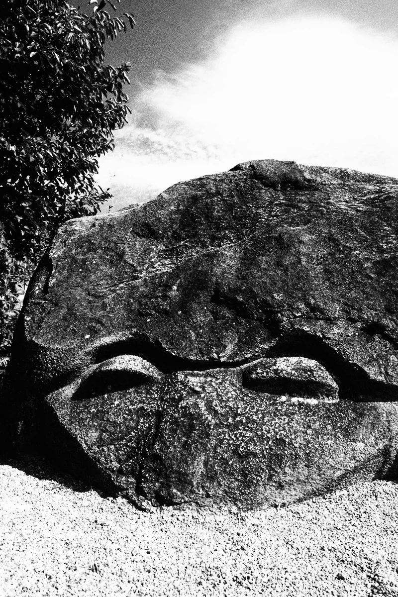 投稿写真：亀石