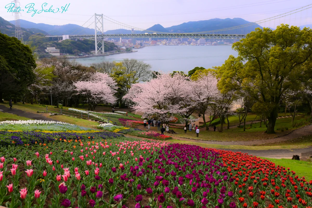 投稿写真：関門橋