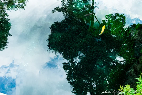 投稿：鏡の様な池