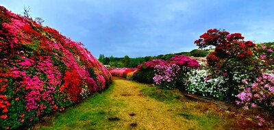  | 絶景事典