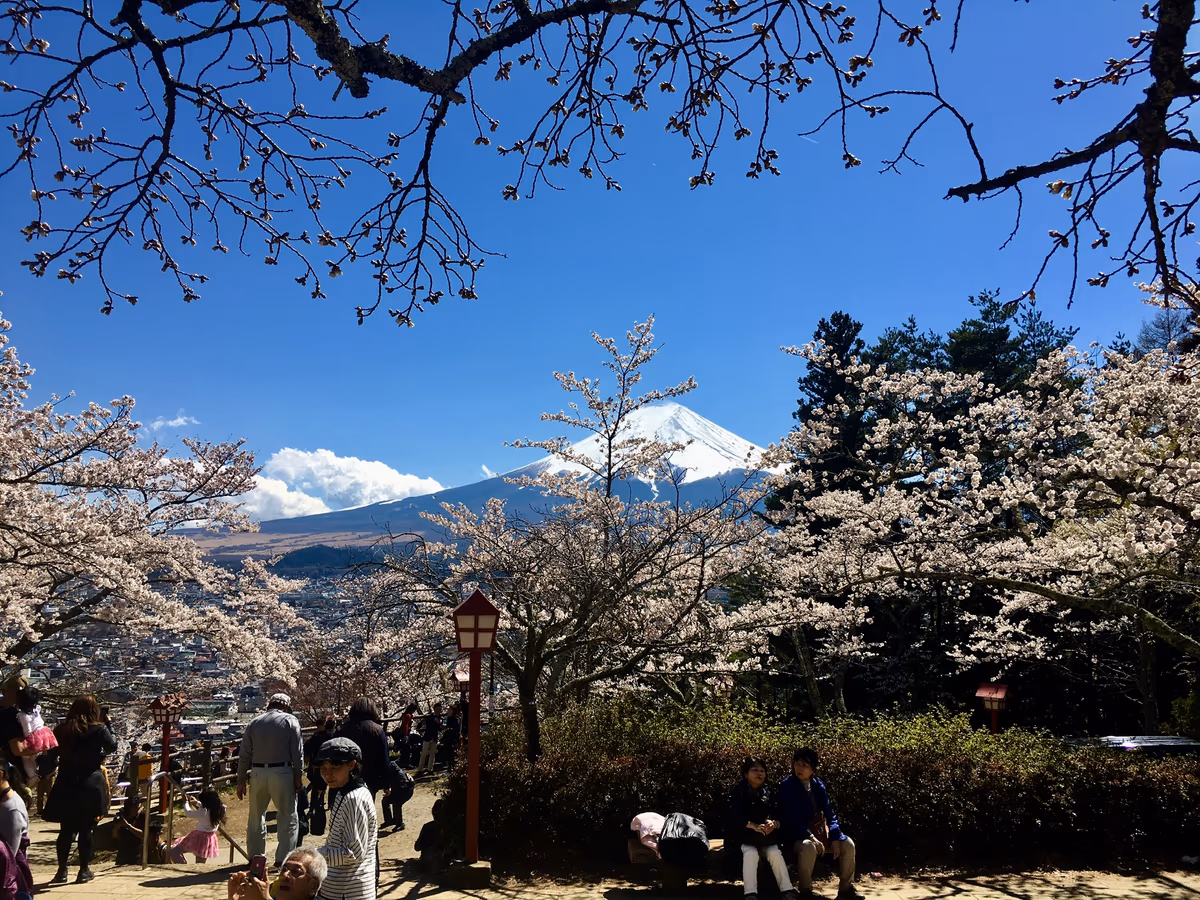 投稿写真：春富士