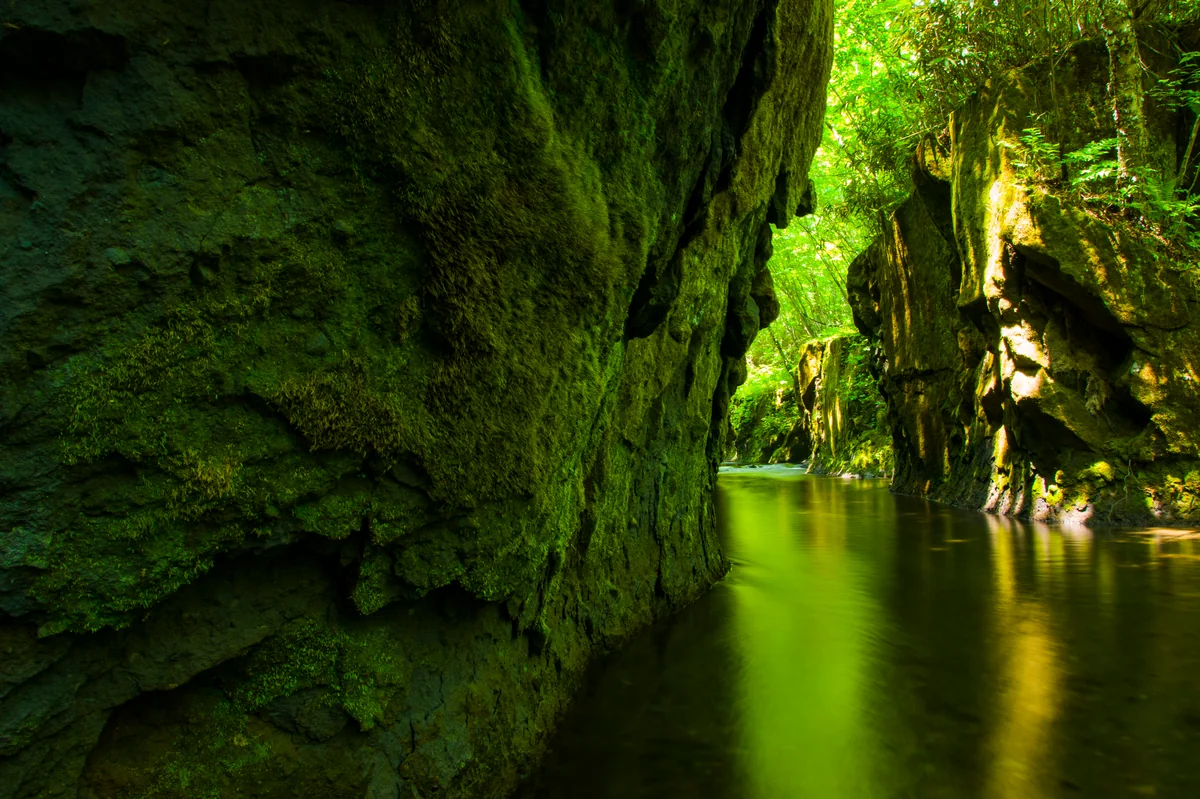 投稿写真：緑の川