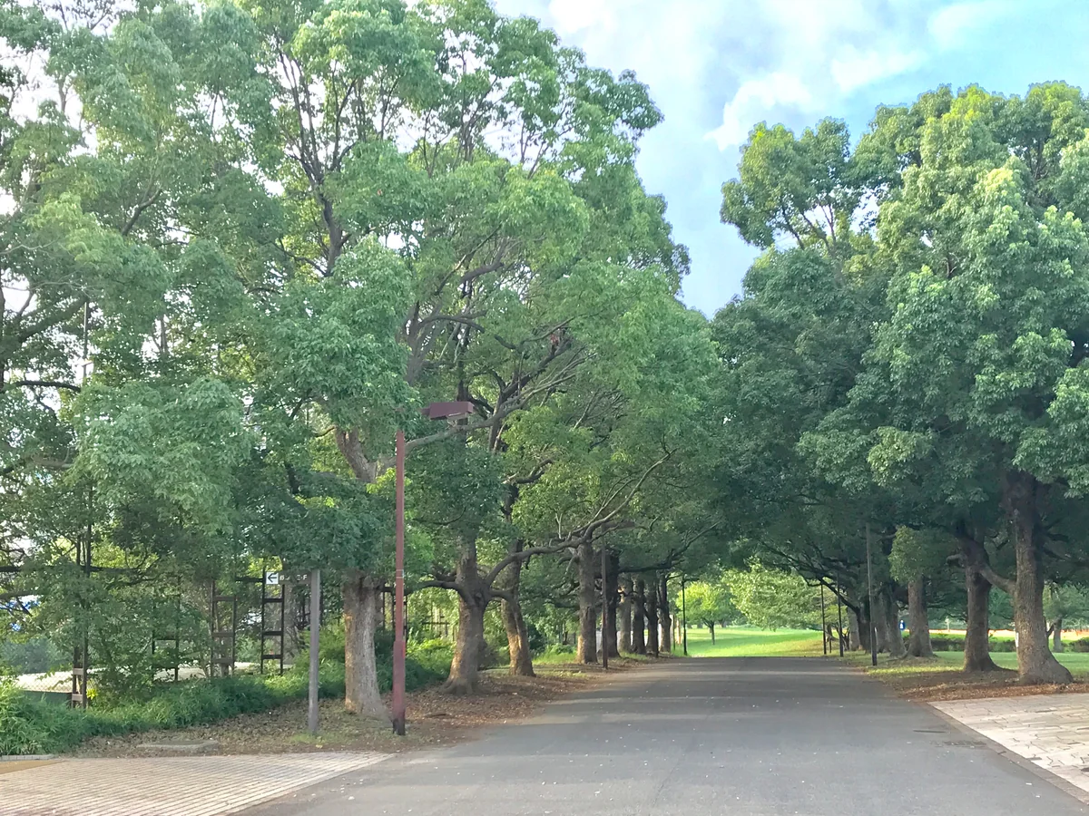 投稿写真：まるで絵画のような風情が目の前に