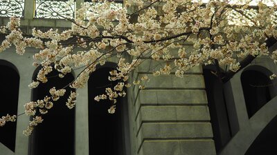  | 絶景事典