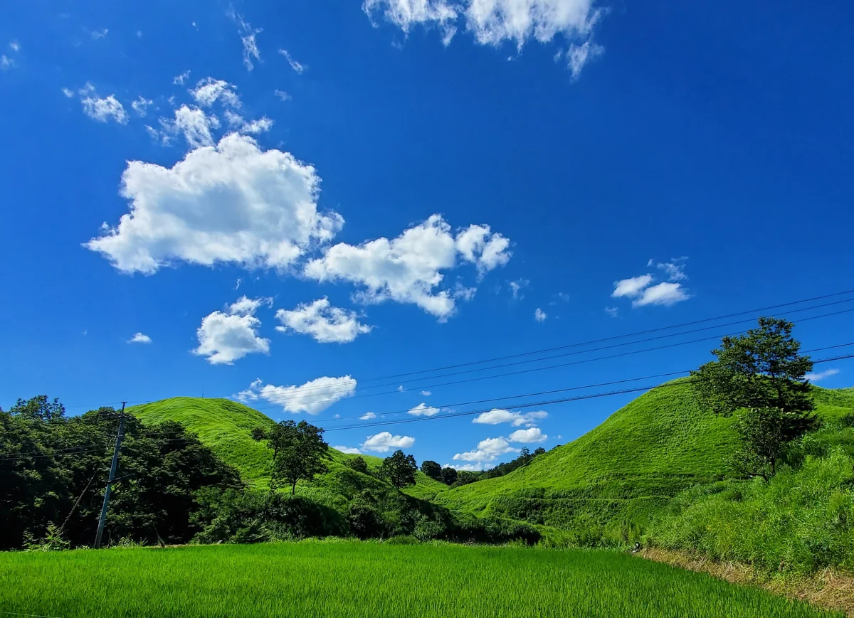 投稿写真：阿蘇はどこもかしこも絵になる