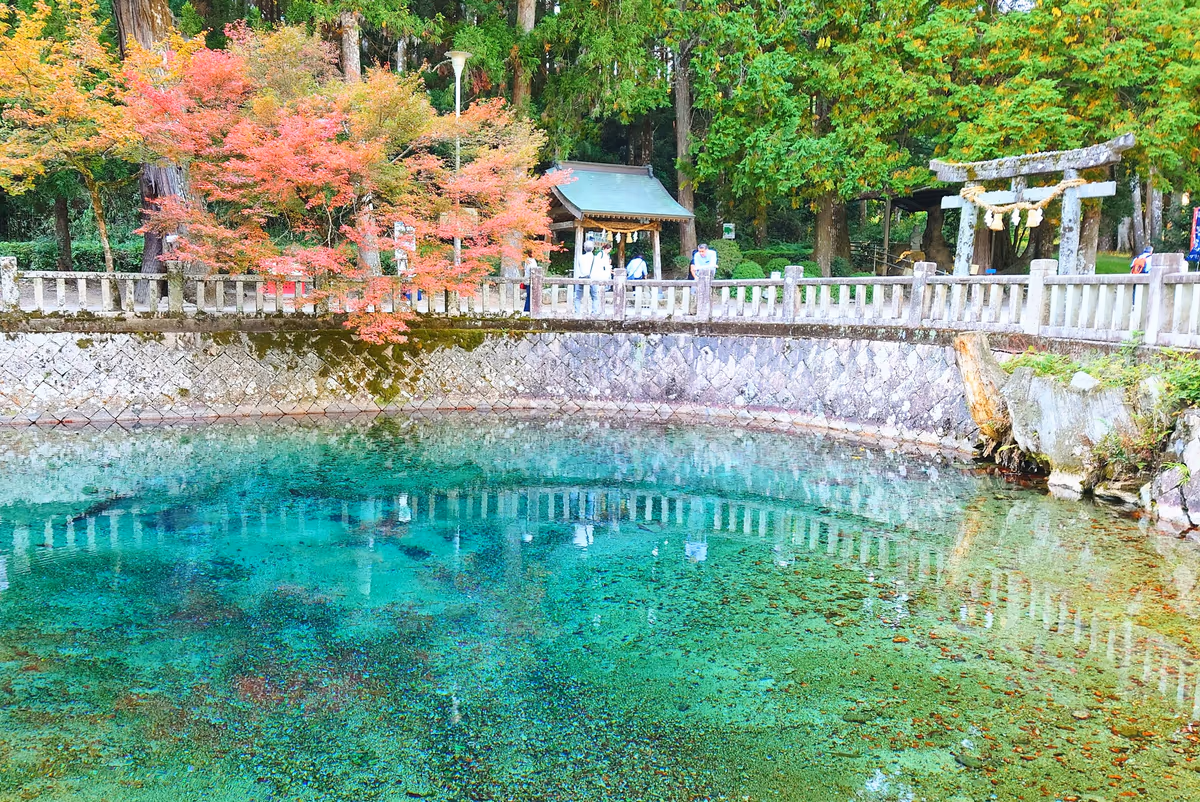 投稿写真：山口県　別府弁天池