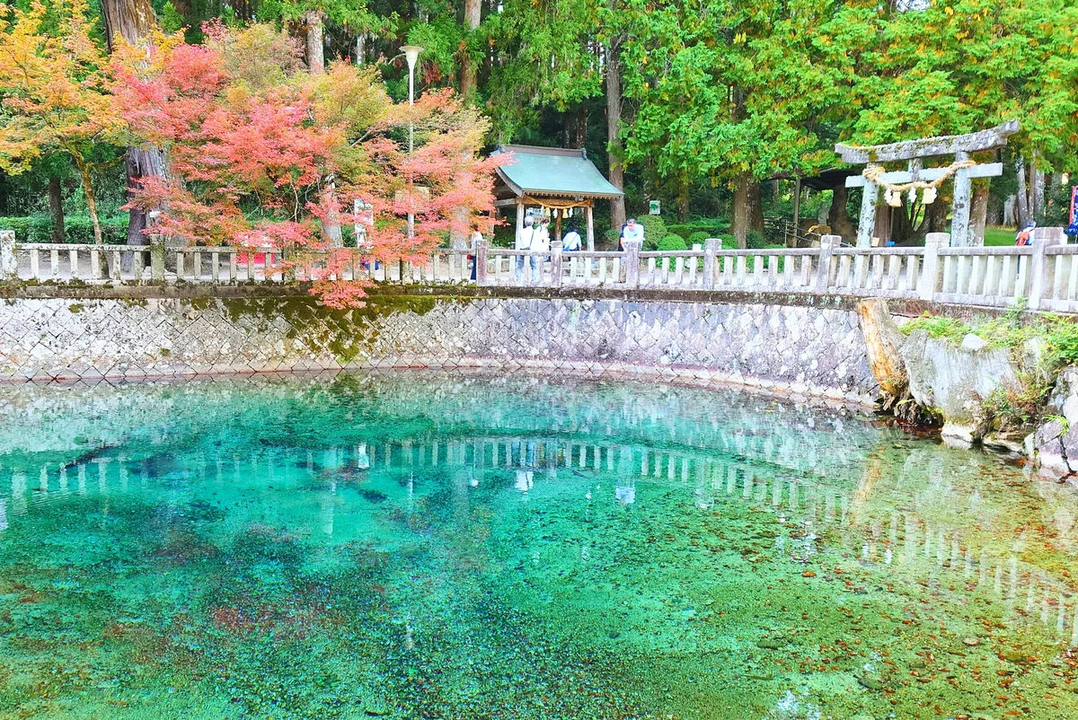 投稿写真：山口県　別府弁天池