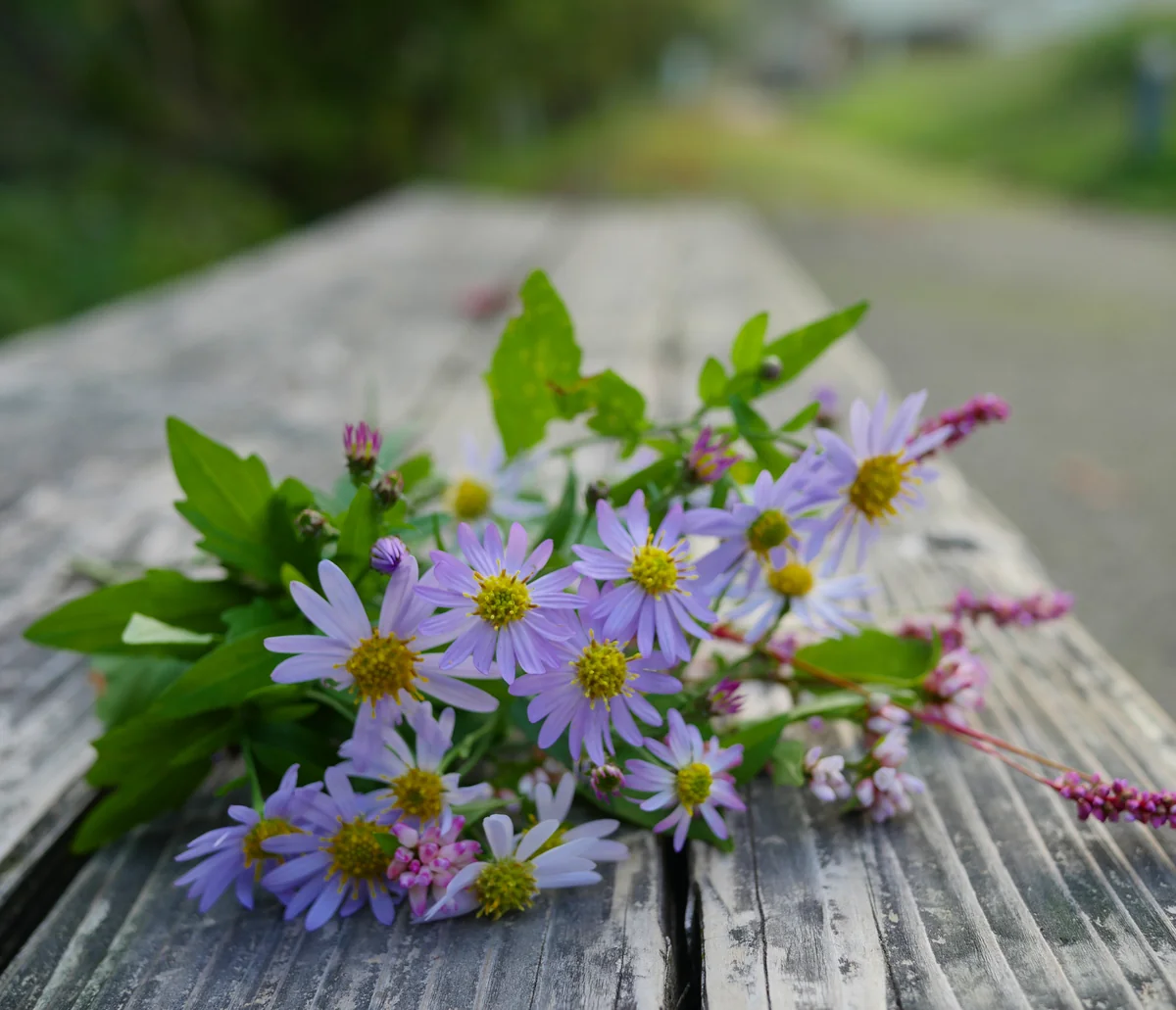 投稿写真：広島市湯来温泉