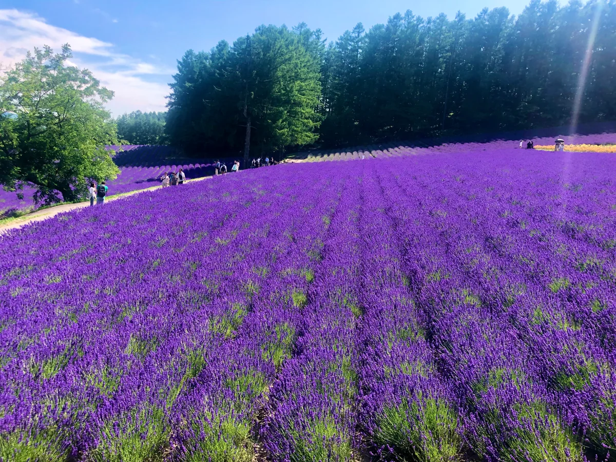 ♪りょーちんの旅冒険さんの投稿写真