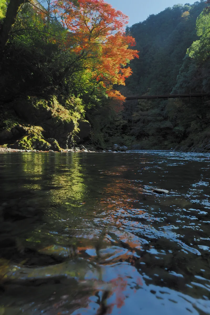 投稿写真：秋の氷川渓谷