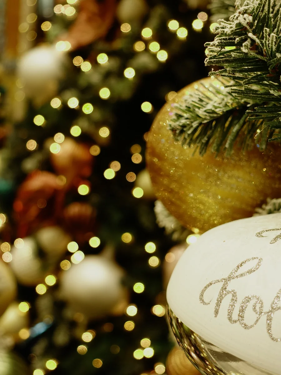 投稿写真：ホーリーナイトにまた会おう