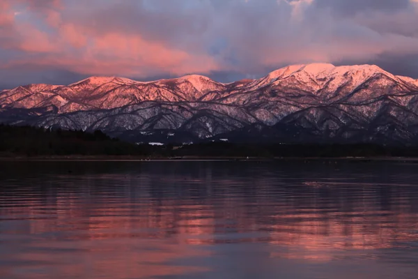 投稿：陽光を受けて