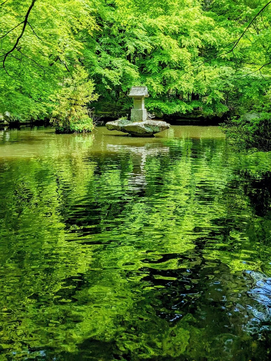 投稿写真：両子寺の新緑リフレクション