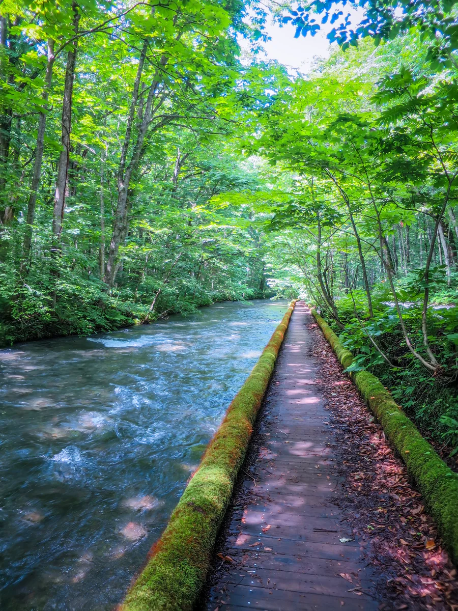 伊藤 和平さんの投稿写真