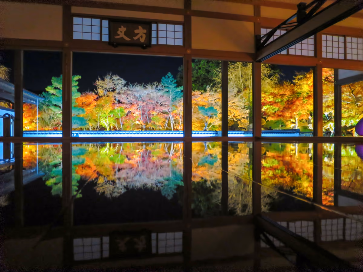 投稿写真：床もみじのライトアップ