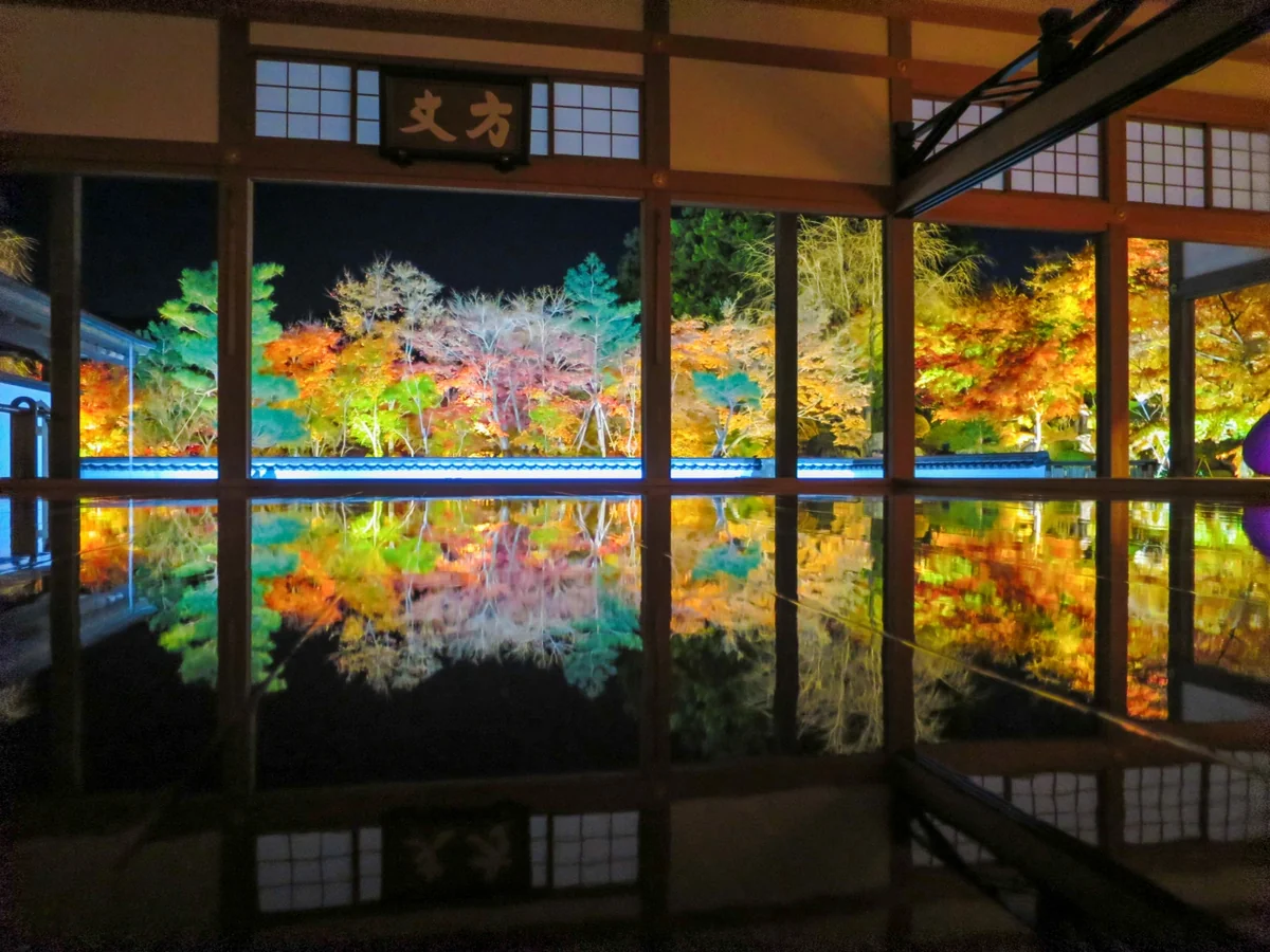 投稿写真：床もみじのライトアップ