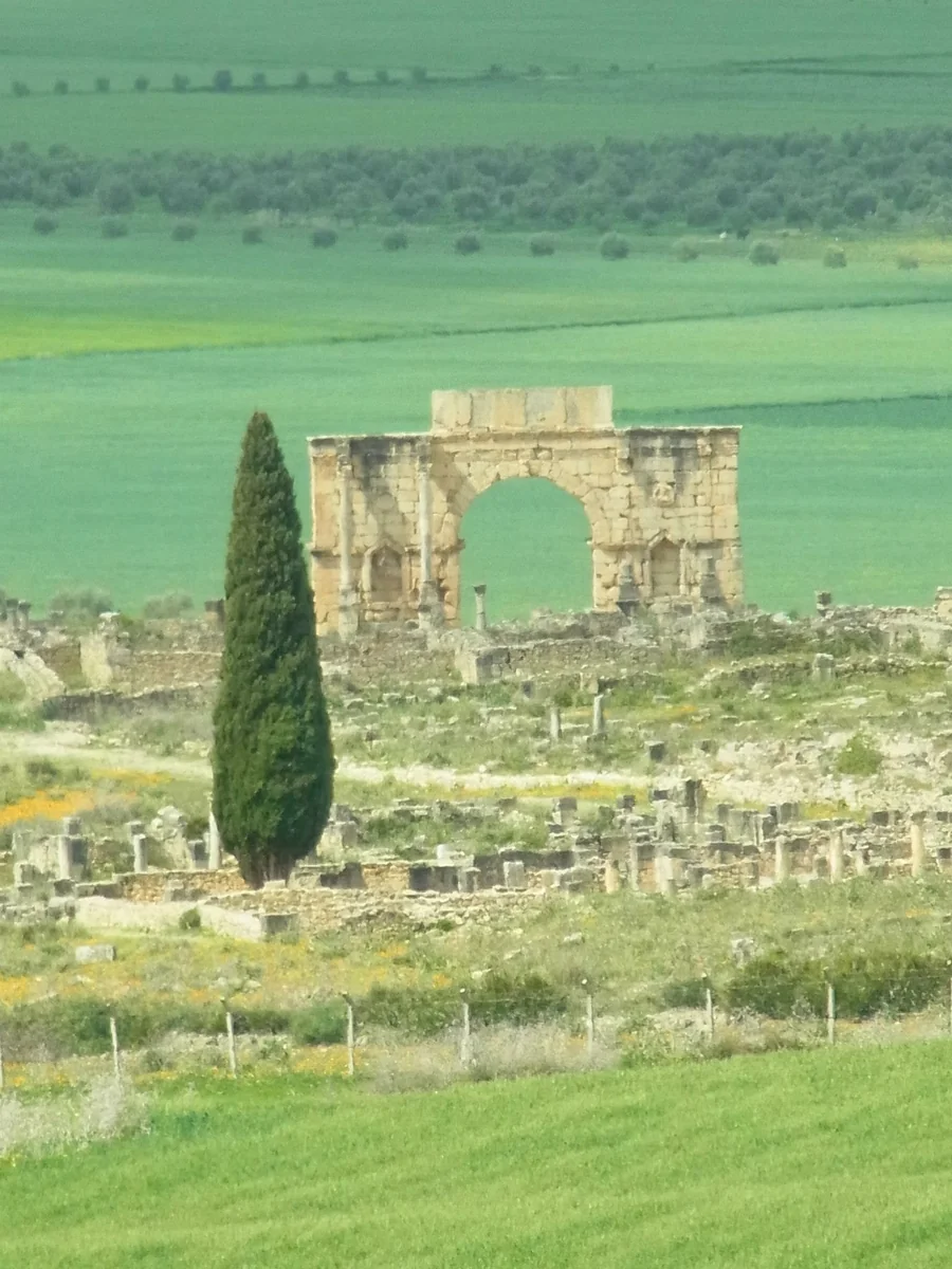 投稿写真：ヴォルビリス古代遺跡 ーMorocco メクネスー