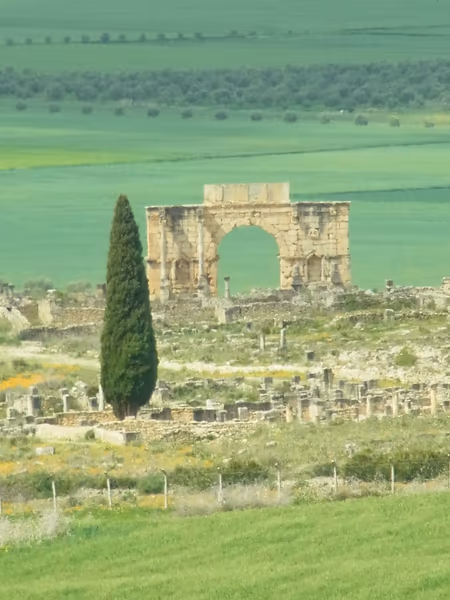 投稿：ヴォルビリス古代遺跡 ーMorocco メクネスー