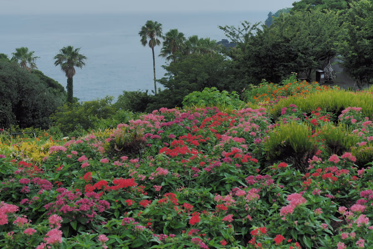 投稿写真：海の見える花園