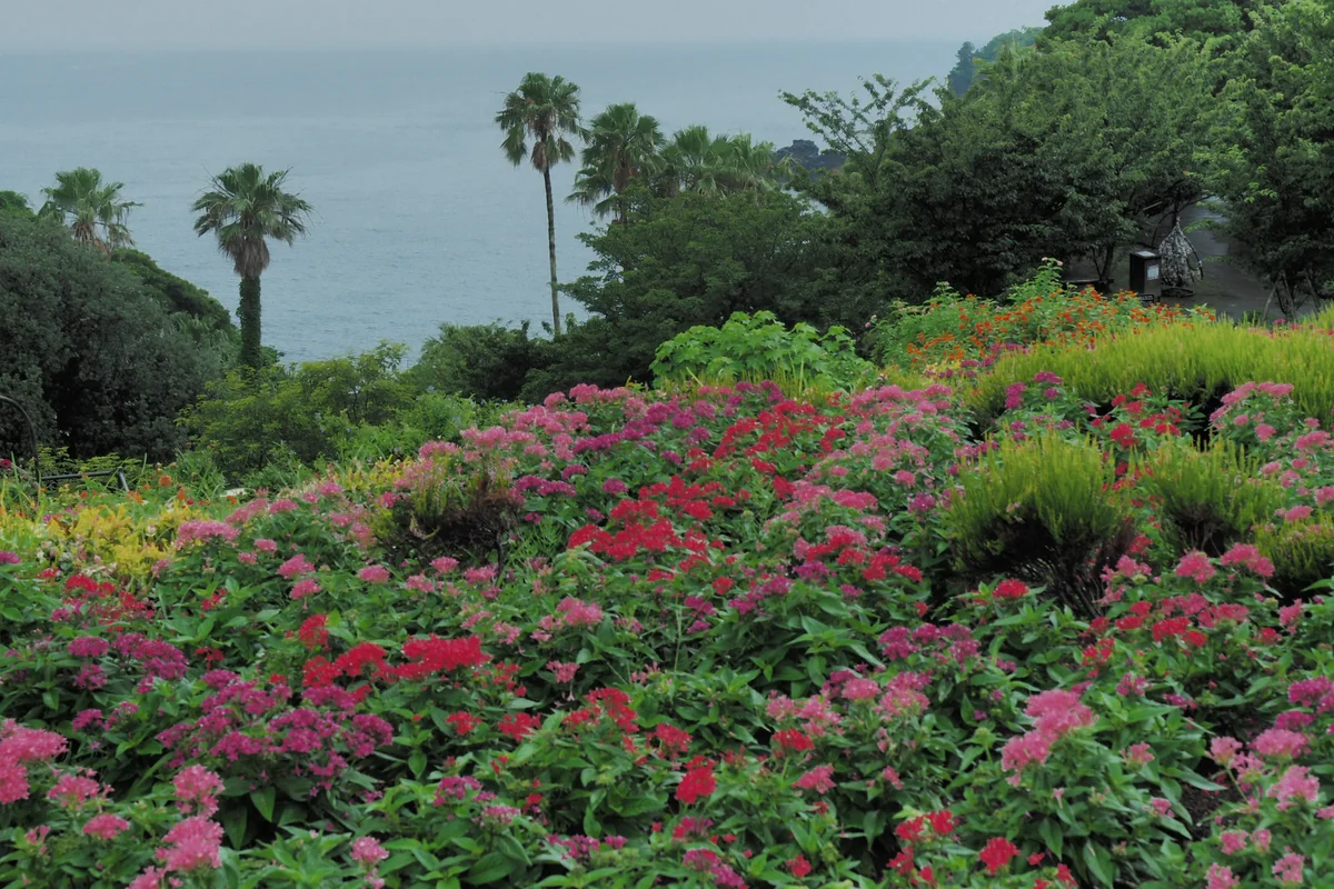 投稿写真：海の見える花園