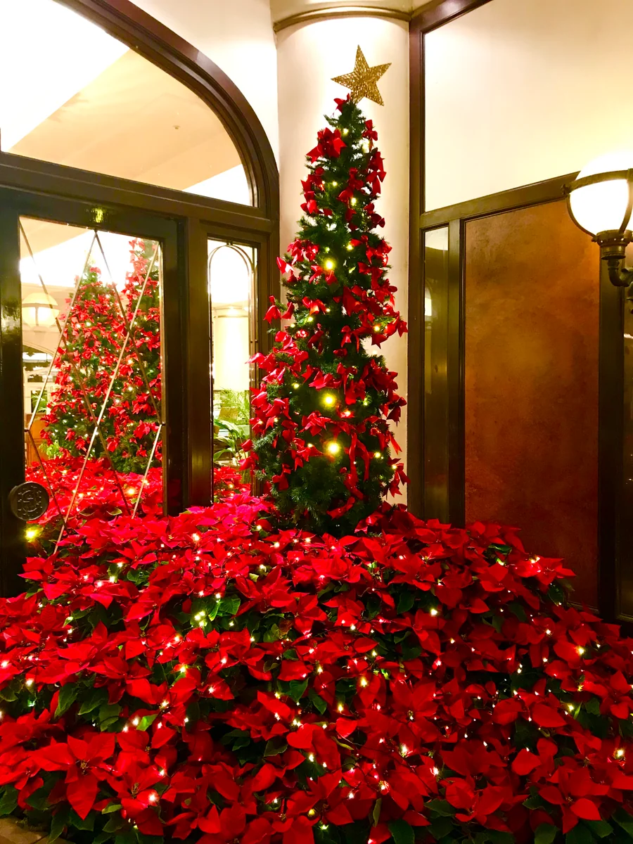 投稿写真：ホテルヨーロッパⅢ