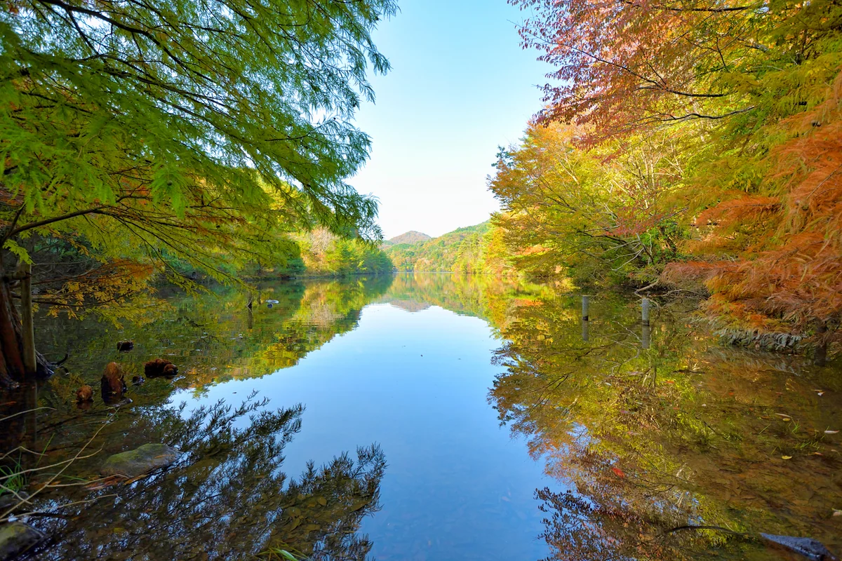 投稿写真：母子大池