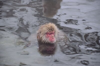 熱～いお湯で、温まりたいの記事画像