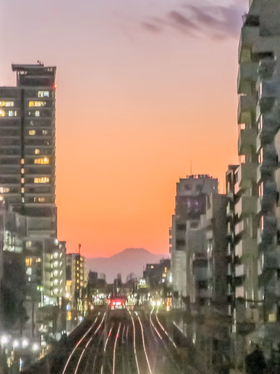 投稿写真：複々線と夕富士