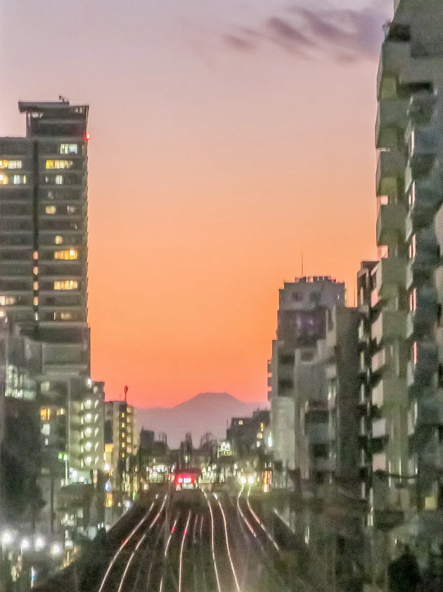 投稿写真：複々線と夕富士