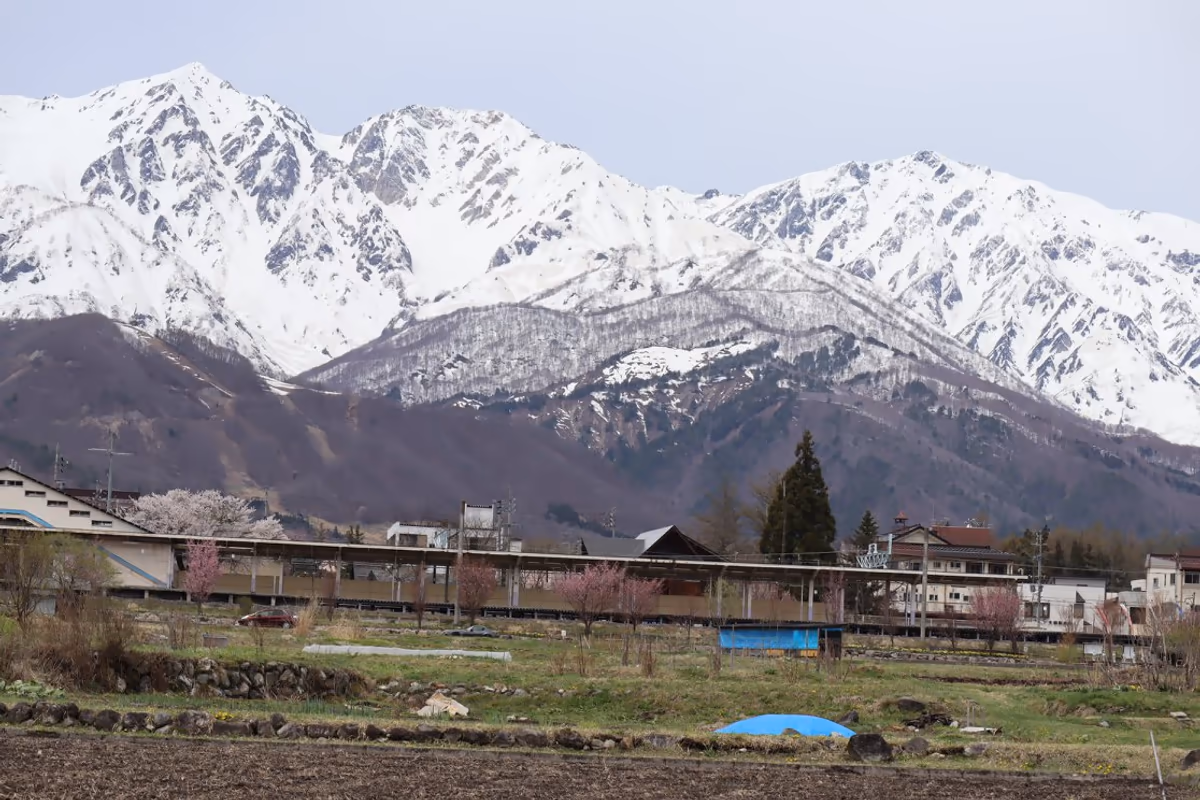 投稿写真：白馬三山