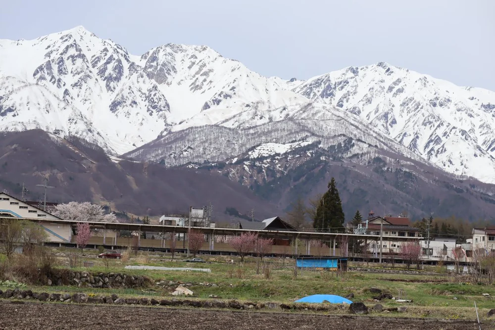 投稿写真：白馬三山