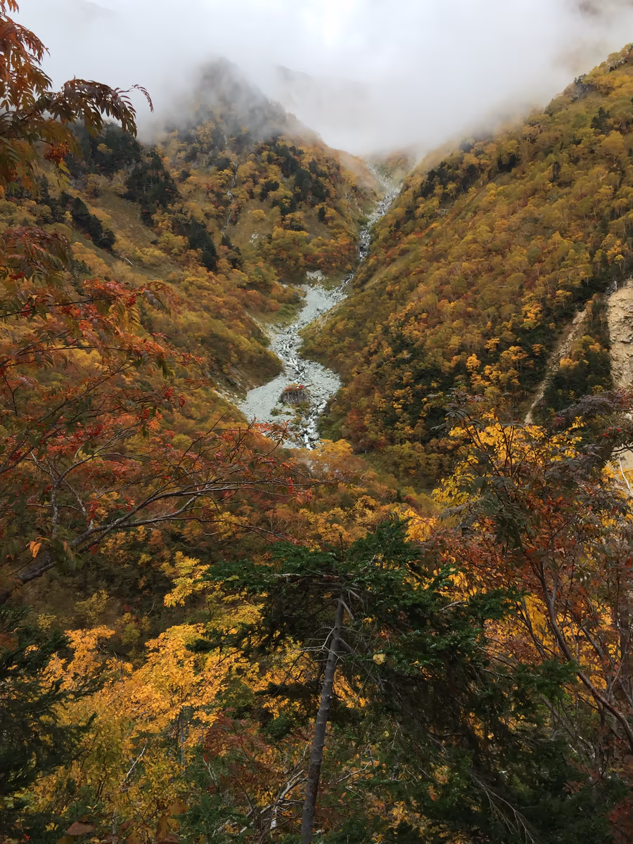 投稿写真：紅葉