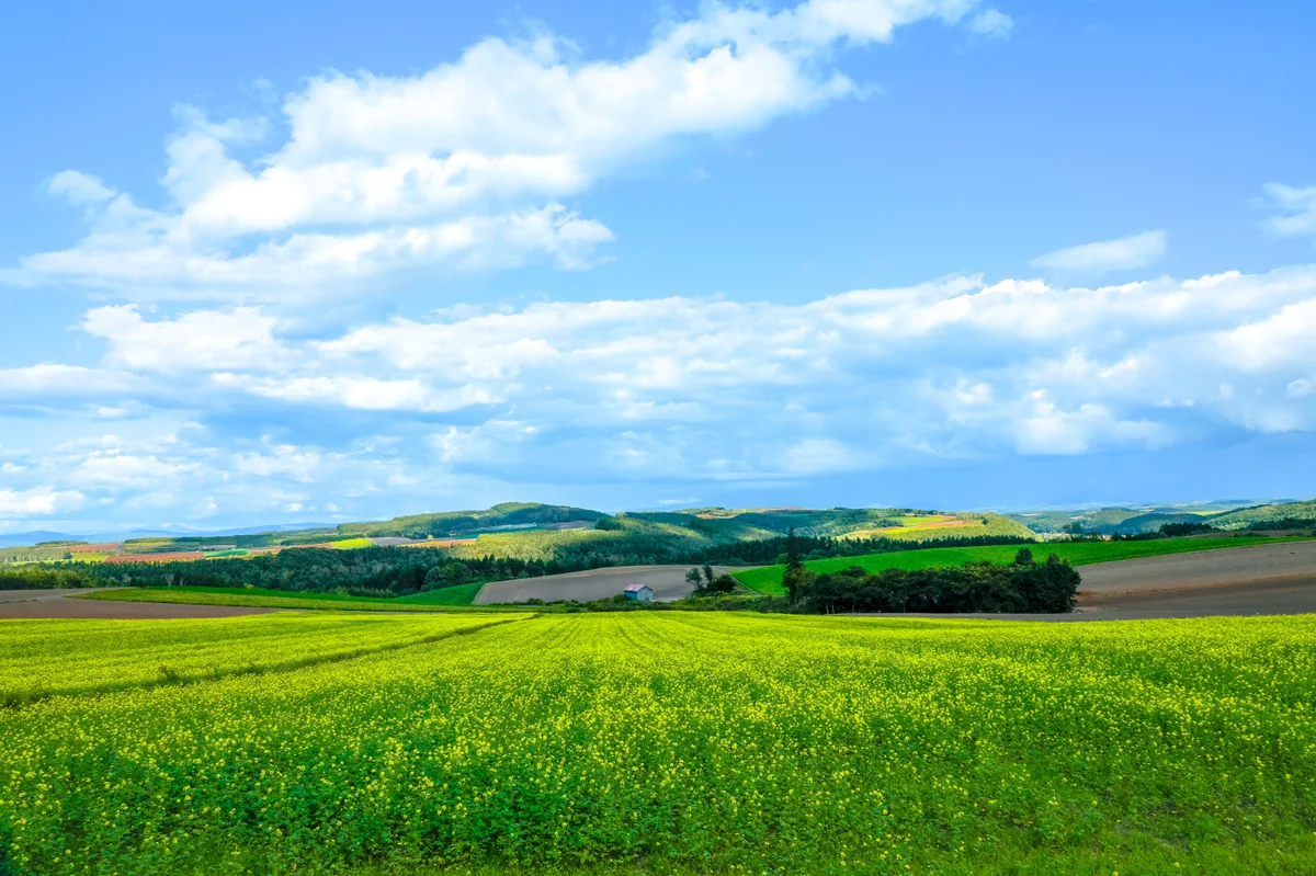 投稿写真：美しい村の丘