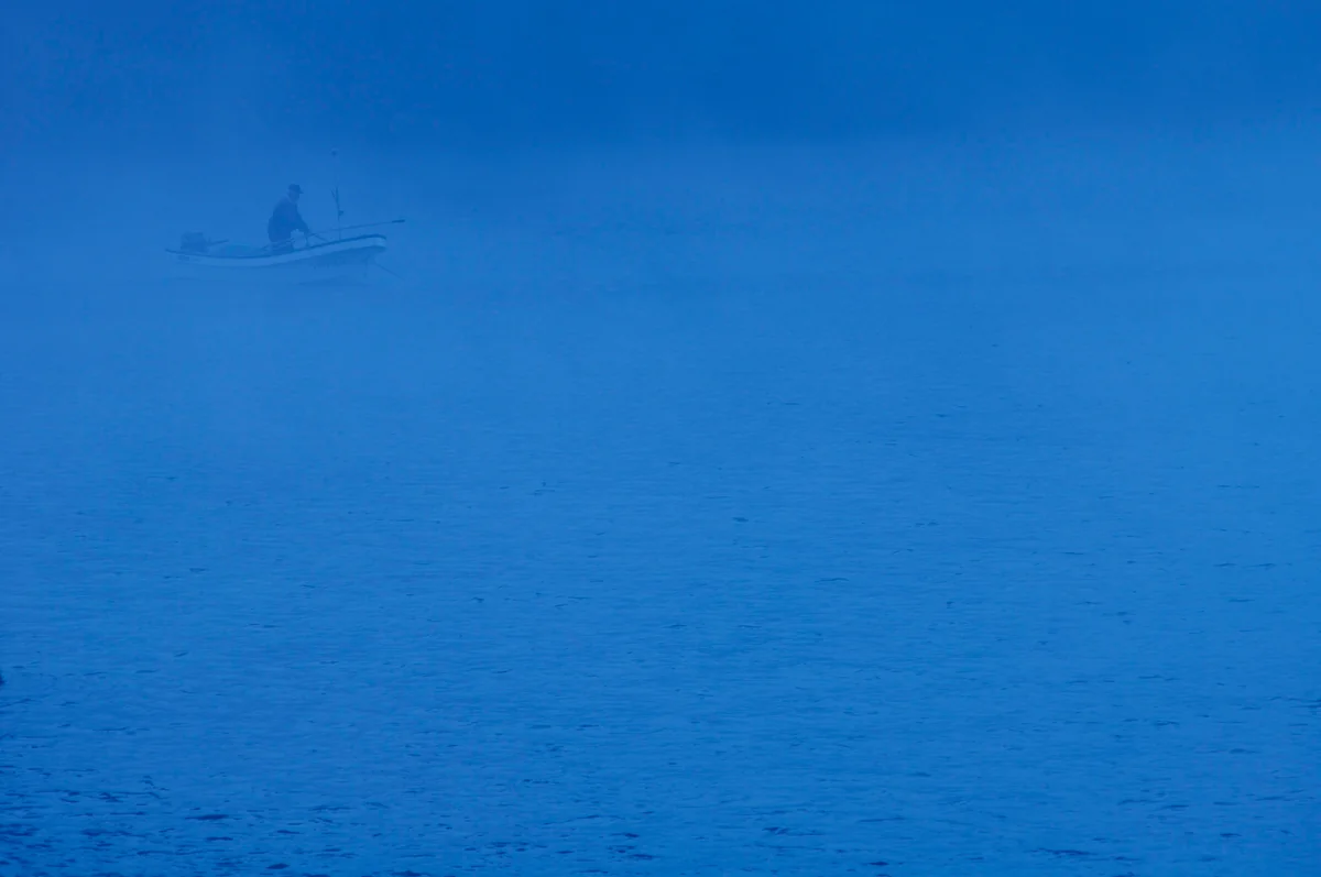 投稿写真：朝霧