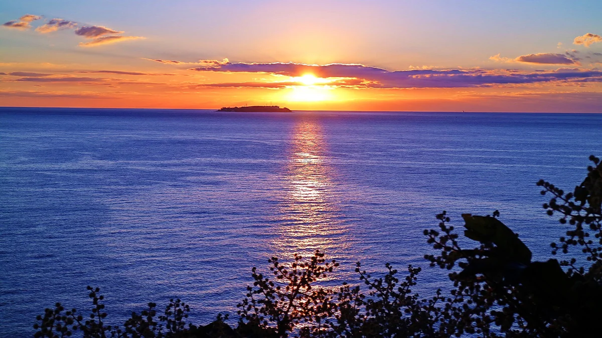 投稿写真："初心"