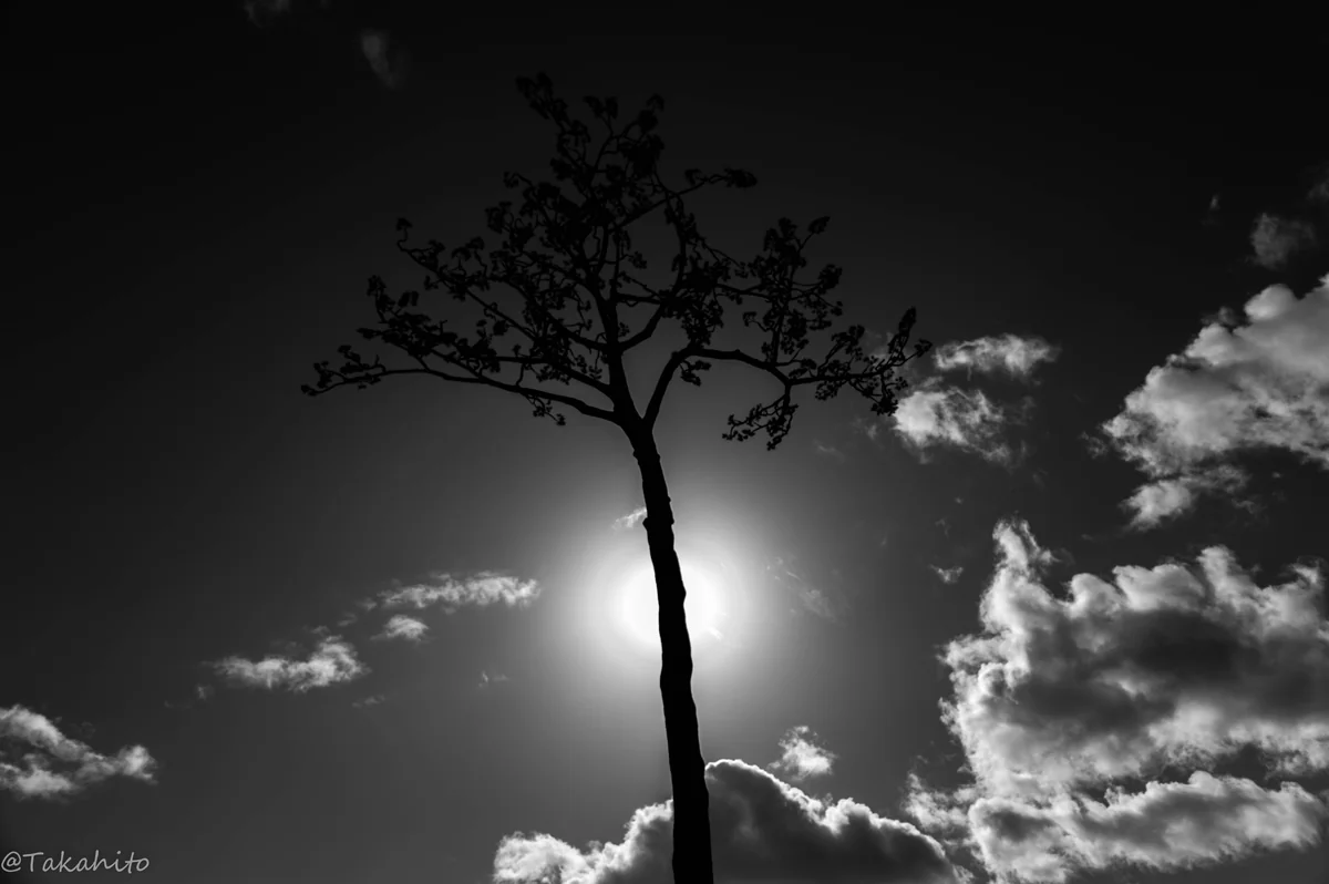 たまおさんの投稿写真