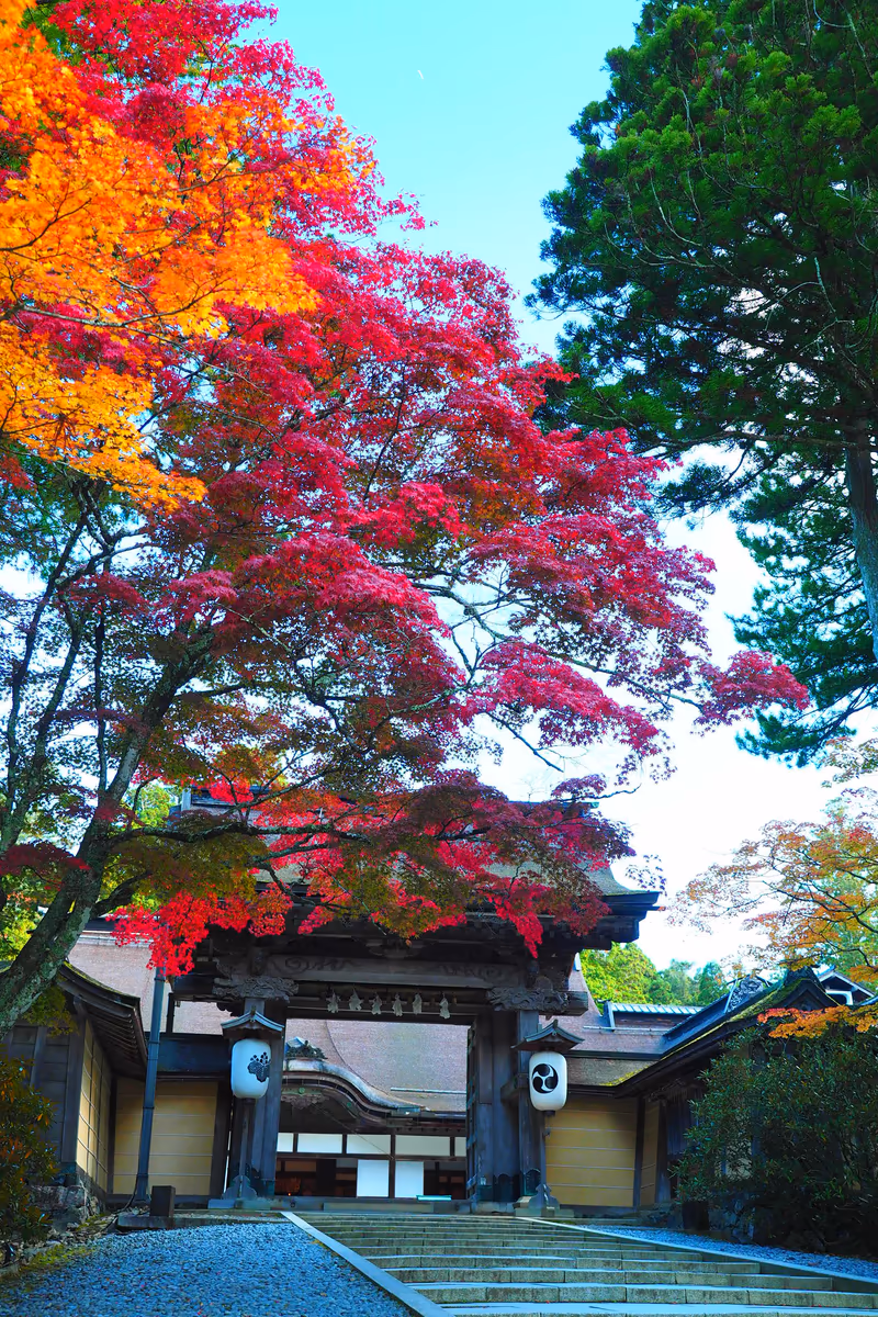 投稿写真：金剛峯寺紅葉
