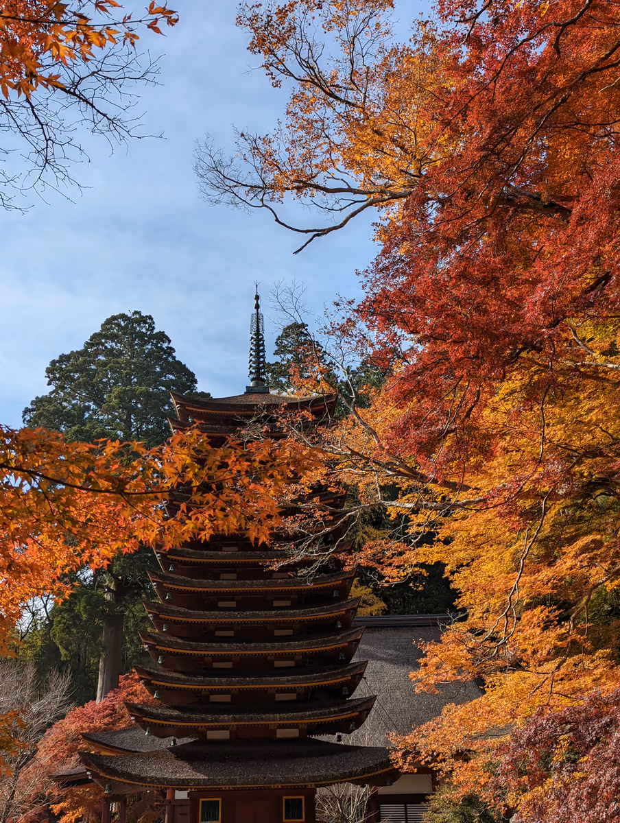 投稿写真：秋の談山神社