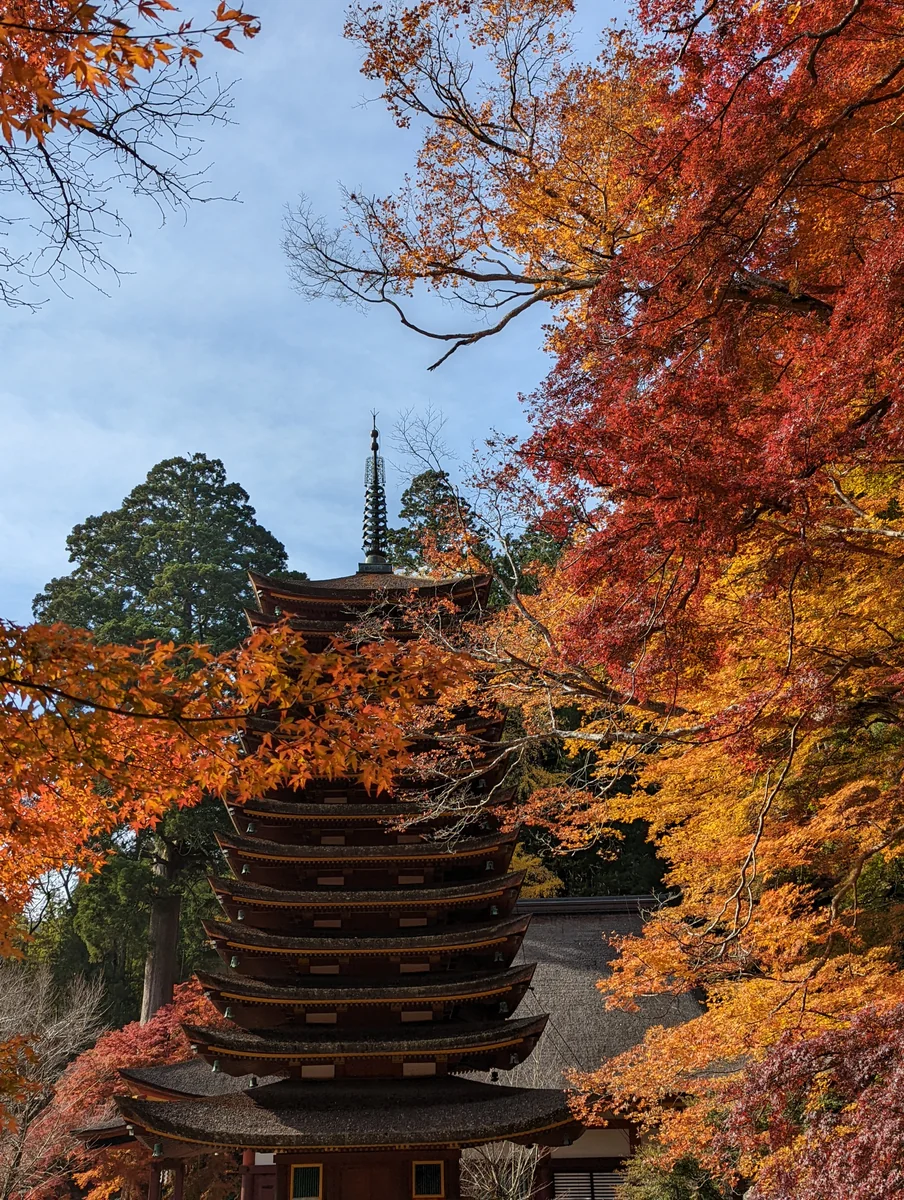 投稿写真：秋の談山神社