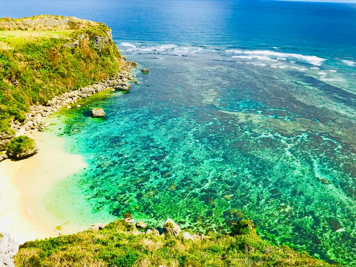 投稿写真：果報バンダ