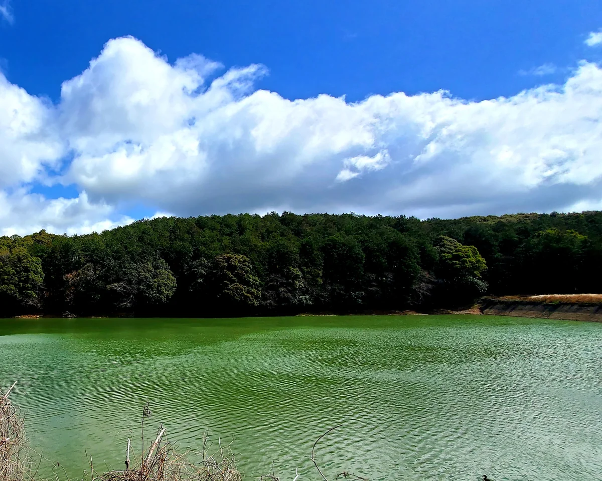 投稿写真：烏帽子池