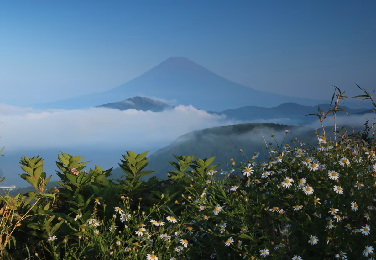 投稿写真：秀麗富士