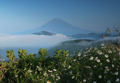  | 絶景事典