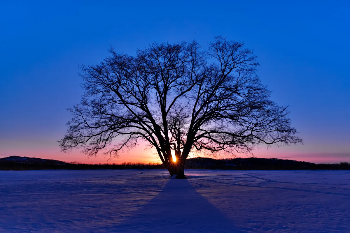 投稿写真：北の大地の夕景