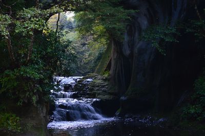  | 絶景事典