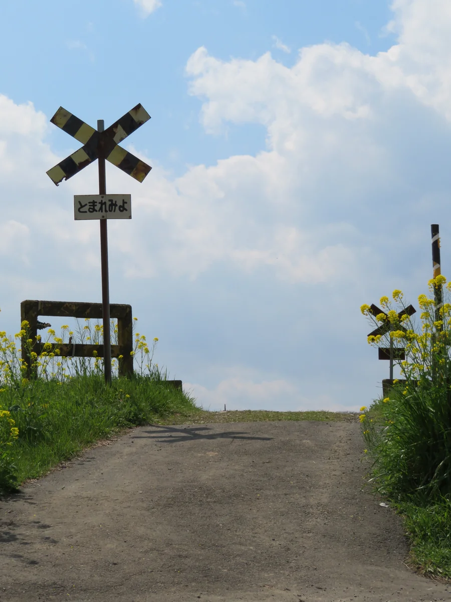 投稿写真：通称『空しか映らない踏切』／第二五之町踏切
