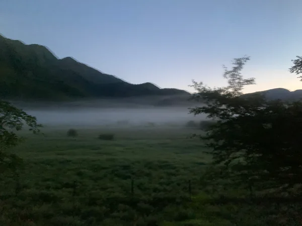 投稿：小田代ヶ原　午前5時