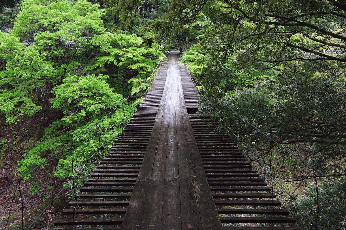 投稿写真：野々垣内のつり橋